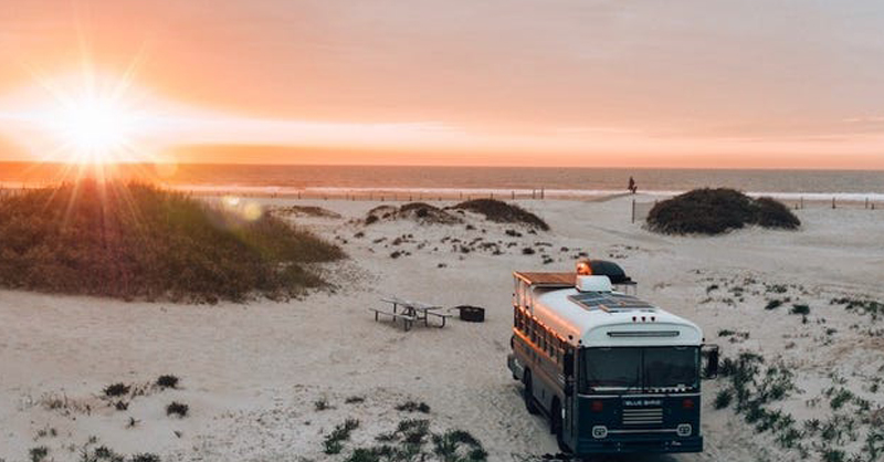 Assateague_inside