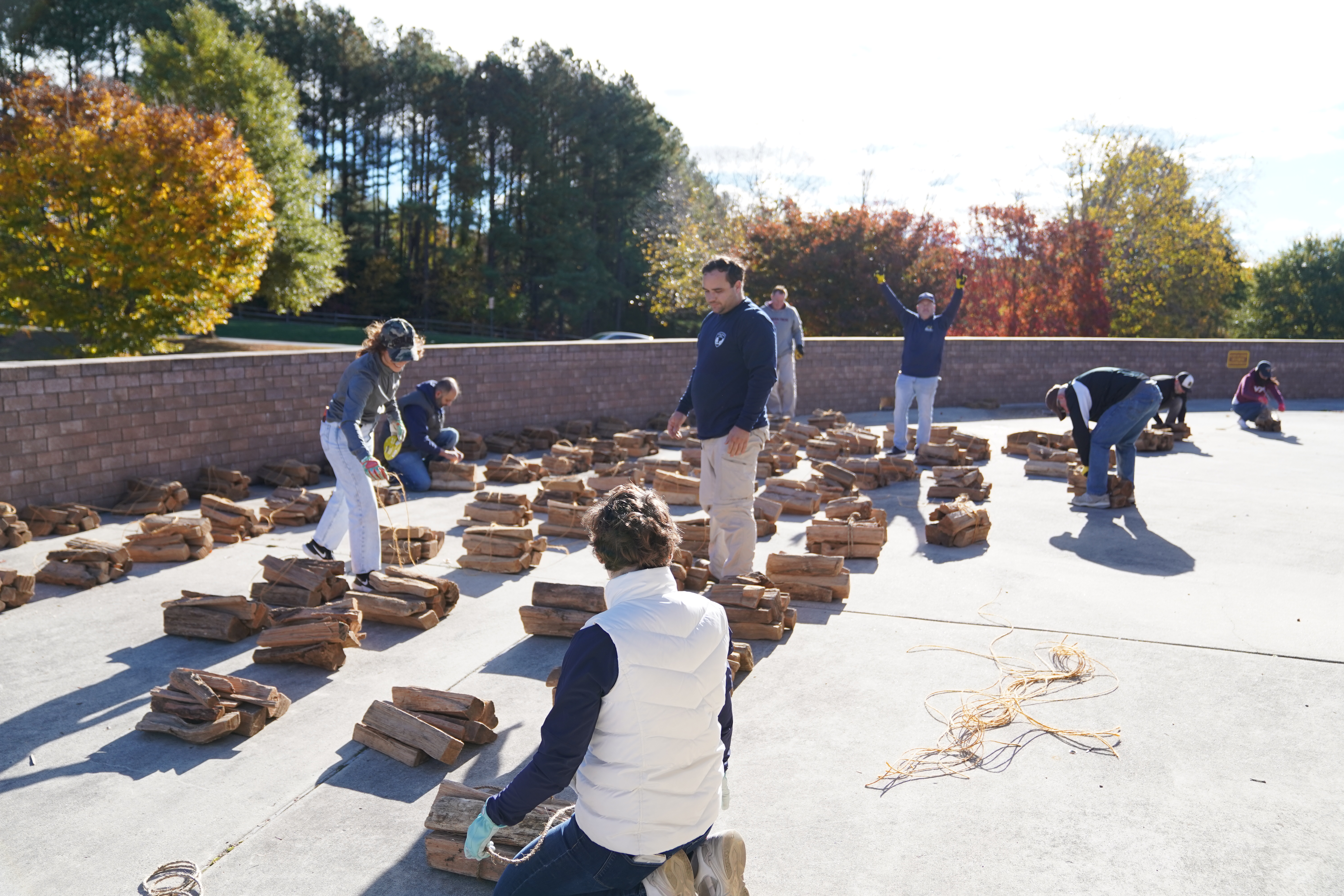 Lake Fairfax Volunteer Initiative 