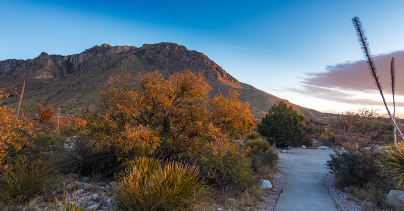 Guadalupe Mtns NP_s