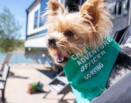 Go RVing Named Official RV Sponsor of the 2026 National Dog Show